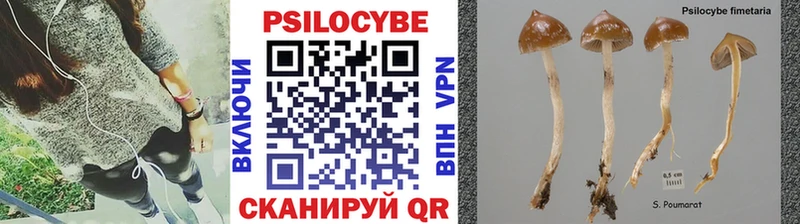 Галлюциногенные грибы мицелий  Тамбов 